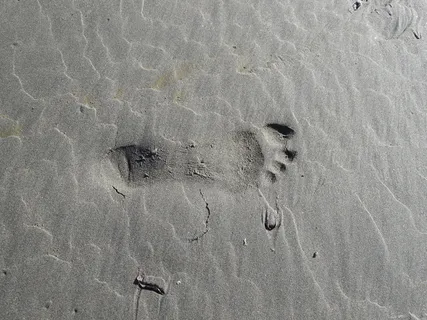 足迹、沙子、海滩、印记、脚印、脚印、陆地、高角度视图 足迹、沙子、海滩、印记、脚印、脚印、陆地、高角度视图