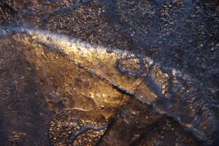 冰，结构，冬季太阳，冰冻，图案，纹理，结构，背景