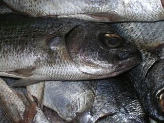 鱼、鳟鱼、渔获物、集市、死亡、食用、鱼鳞、银