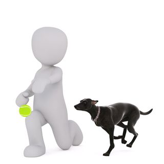 无标题，雄性，3D模型，孤立，3D，模型，3D，模型，全身