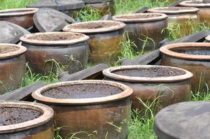 酱油，发酵，食品，植物，白天，无人，户外，生长