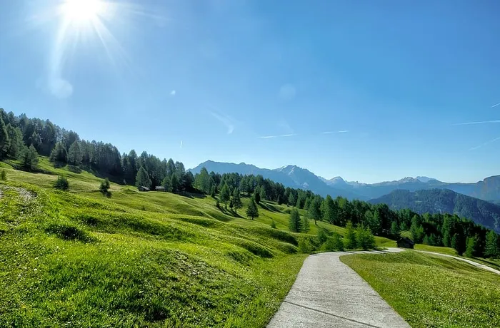 景观、树木、乡村、小山、日光、草地、高清壁纸、草地