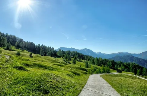 景观、树木、乡村、小山、日光、草地、高清壁纸、草地 景观、树木、乡村、小山、日光、草地、高清壁纸、草地
