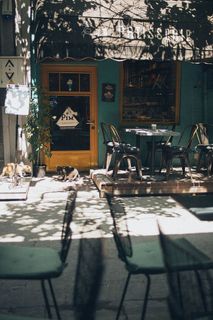 棕色木门前有两只黑白相间的小狗