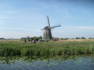 风车、荷兰、kinderdijk、水、天空、燃料和发电、可再生能源、风力涡轮机