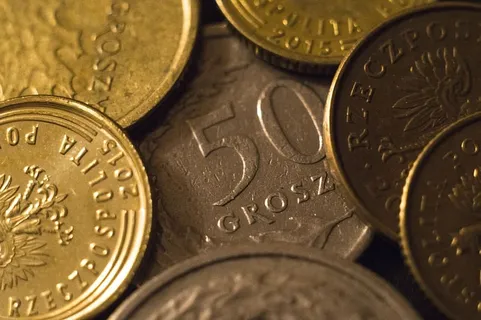 硬币,粗俗,货币,Złoty,硬币,货币,金融,商业 硬币,粗俗,货币,Złoty,硬币,货币,金融,商业