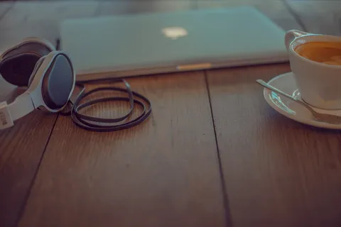 立陶宛,维尔纽斯县,音乐,休息,工作,咖啡馆,平白,卷尾猴 立陶宛,维尔纽斯县,音乐,休息,工作,咖啡馆,平白,卷尾猴