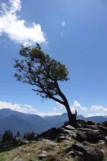 风,吹,歪歪的树,炎热的太阳,风吹,炎热的太阳,山,云-天空 风,吹,歪歪的树,炎热的太阳,风吹,炎热的太阳,山,云-天空