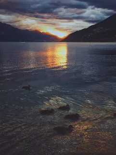 新西兰,皇后镇,鸭子,倒影,湖泊,池塘,山脉,日出 新西兰,皇后镇,鸭子,倒影,湖泊,池塘,山脉,日出