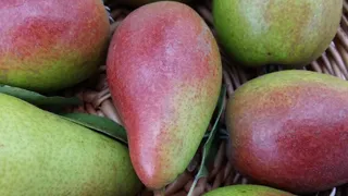 梨、水果、特写、健康饮食、食品、食品和饮料、健康、新鲜