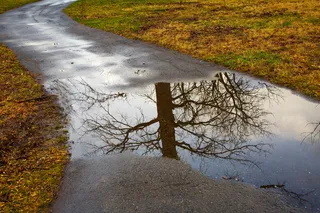 美国，印第安纳波利斯，水，雨，树，森林，公园，小路