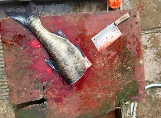 中国，大理，西周镇，刀，市场，屠夫，砧板，血