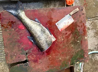 中国，大理，西周镇，刀，市场，屠夫，砧板，血