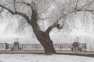 大炮、冬天、雪、寒冷、白色、全景、寂静、历史