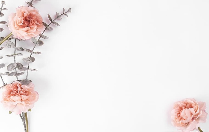 花，平铺，花，平铺，背景，桌子，雌性，白色背景