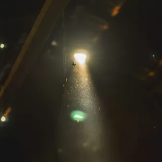 蝴蝶，蝴蝶，昆虫，苍蝇，阳光，光线，阳光，光