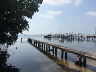 美国迈阿密，巴士aye bay，水，天空，树，码头，自然