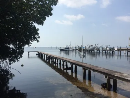 美国迈阿密,巴士aye bay,水,天空,树,码头,自然 美国迈阿密,巴士aye bay,水,天空,树,码头,自然