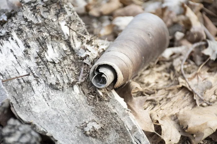树皮，自然，树，卷曲，卷曲，特写，白天，木材
