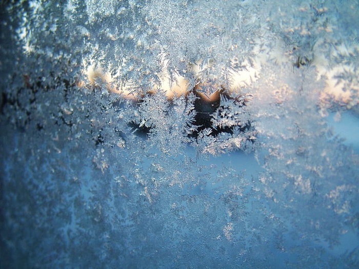 霜冻，冬天，早晨，雪，季节，白色，节日，圣诞节