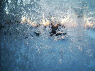 霜冻，冬天，早晨，雪，季节，白色，节日，圣诞节