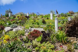 米纳克剧院、康沃尔、南格兰、植物、生长、自然、天空、白天