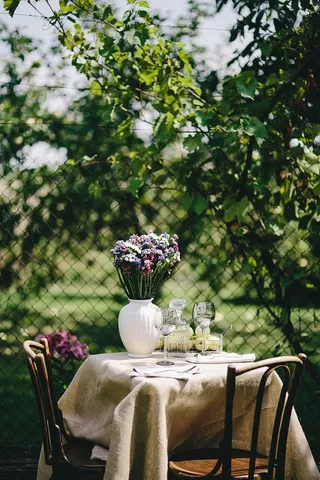 在花园里吃健康的午餐