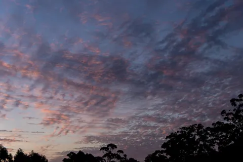 日落，天空，云彩，粉色，蓝色，图案，纵横交错，美丽