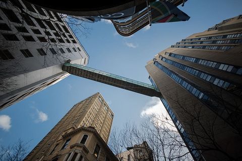 灵感、大地、户外、酒店、钻石角、树木、壁纸、背景