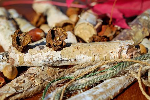 橡子, 树果, 感染, 虫瘿, 切成两半, 德国橡木, 特写镜头, 食物和饮料