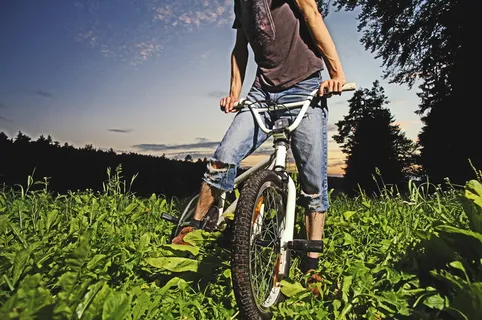 男子, 骑马, 白, bmx 自行车, bmx, 自行车, 森林, 周期 男子, 骑马, 白, bmx 自行车, bmx, 自行车, 森林, 周期
