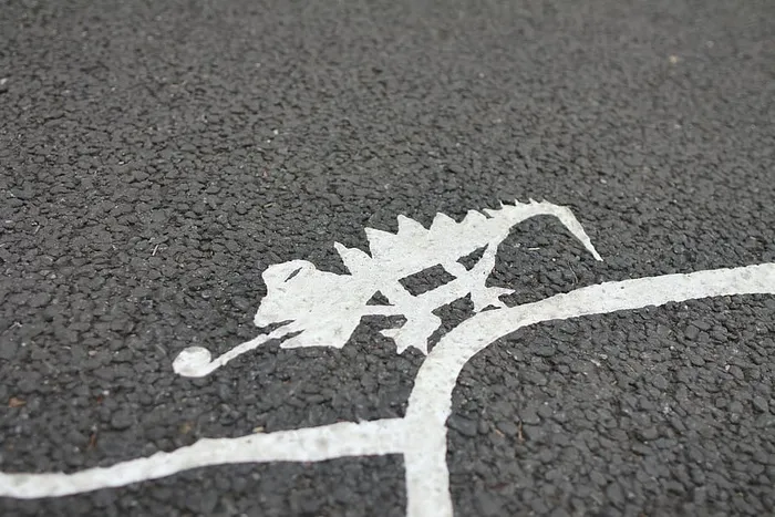 变色龙，绘画，沥青路面，油漆，白色，艺术，设计，道路