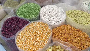 种子、谷物、玉米、豆类、种子、天然、健康、谷物