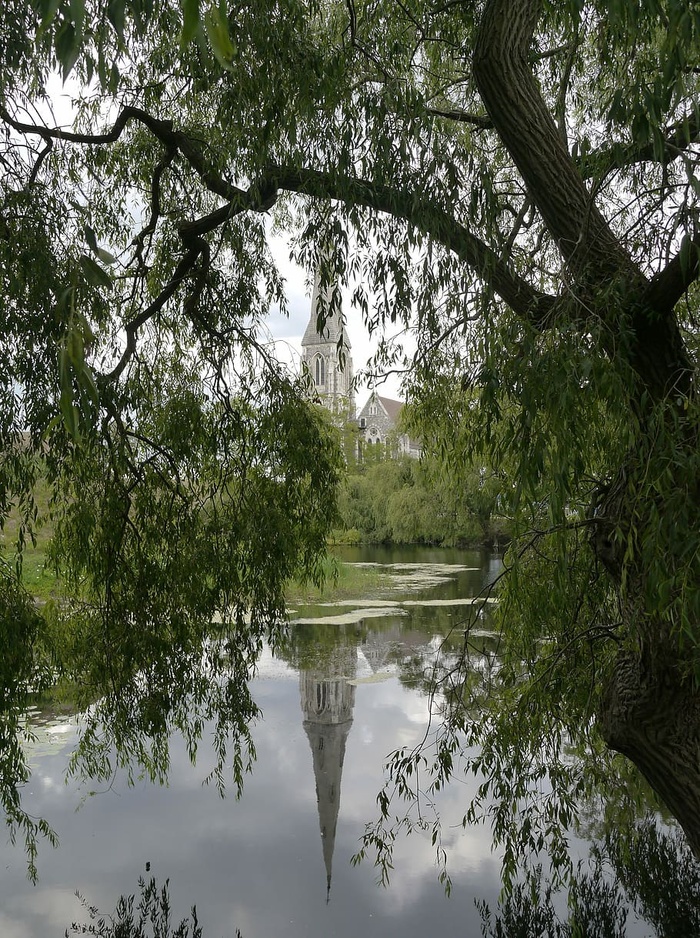 倒影，湖，教堂，树，自然，湖，教堂，树，水