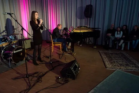 音乐，歌手，发生，音乐会，乐队，弗雷德里克·范·登·阿克克，扬·威廉·范·登·菲尔德，表演