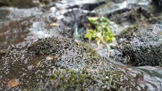 水，自然，户外，河流，水背景，自然背景，新鲜，春天