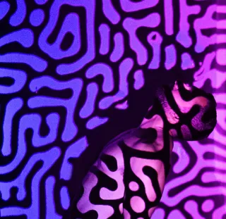 颜色，伪装，光，暗，微光，家伙，人，肌肉