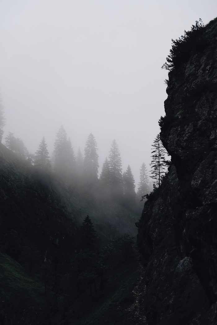 山雾