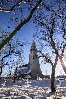 冰岛, 雷克雅未克, Hallgrimskirkja, 树, 雪, 冬天, 寒冷的温度, 光秃秃的树 冰岛, 雷克雅未克, Hallgrimskirkja, 树, 雪, 冬天, 寒冷的温度, 光秃秃的树