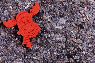 冬天，驼鹿，贺卡，红色，毛毡，圣诞节，装饰，有趣