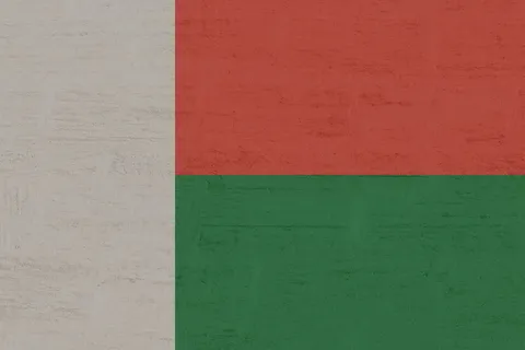 马达加斯加，国旗，国际，墙壁建筑特征，建筑，建筑结构，背景，绿色