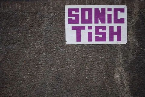 Sonic Tish 输入文本