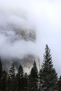 云,冷杉树,山,自然,森林,森林,树木,景观 云,冷杉树,山,自然,森林,森林,树木,景观