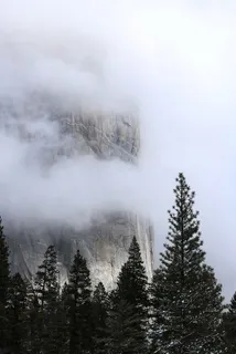 云,冷杉树,山,自然,森林,森林,树木,景观 云,冷杉树,山,自然,森林,森林,树木,景观