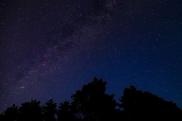 星星，天空，夜晚，银河，黑暗，树木，轮廓，空间