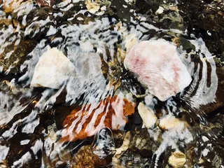 水，秋天，秋天的颜色，黄色，自然，自然摄影，iphone，iPhonegraphy