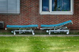 床、室外、夏季、机构、草地、植物、建筑外部、建筑