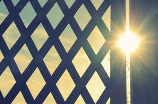 夏天，篱笆，阳光，夏天的感觉，假期，天空，一线希望，阳光