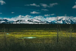 阿拉斯加德纳利国家公园拍摄的雪山景观