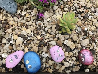 美国，达拉斯，老湖高地，花卉，绘画，自然，岩石，呆滞的眼睛